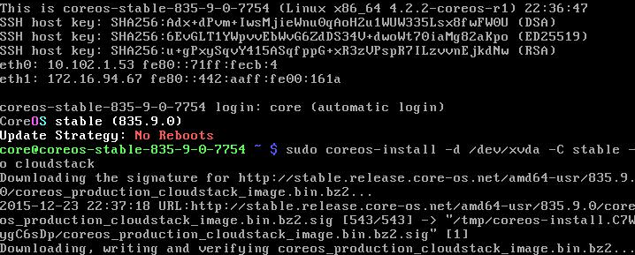 Image of Instance Console installing CoreOS